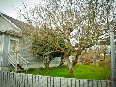 1696 17th St, Arcata, CA, 95521