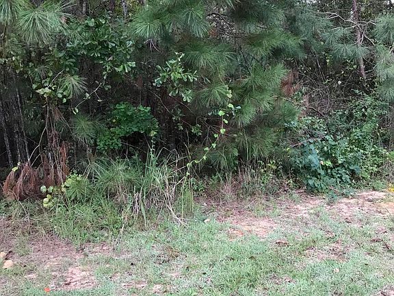2nd image of 7 N Magenta Ln