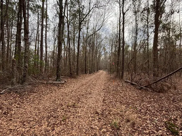 745 Wright Allen Road, Blythe, GA 30805