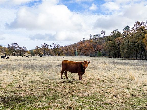 4th image of 11158 Rocky Creek Rd