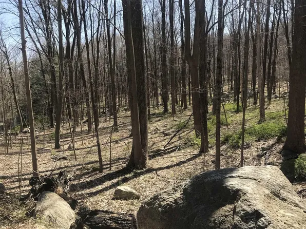 CROSSROAD Court, Carmel, NY 14477