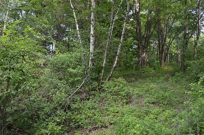 3rd image of 00 UPPER MANNIX Road