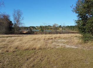 11122 Lake Montgomery Blvd, Clermont, FL 34715