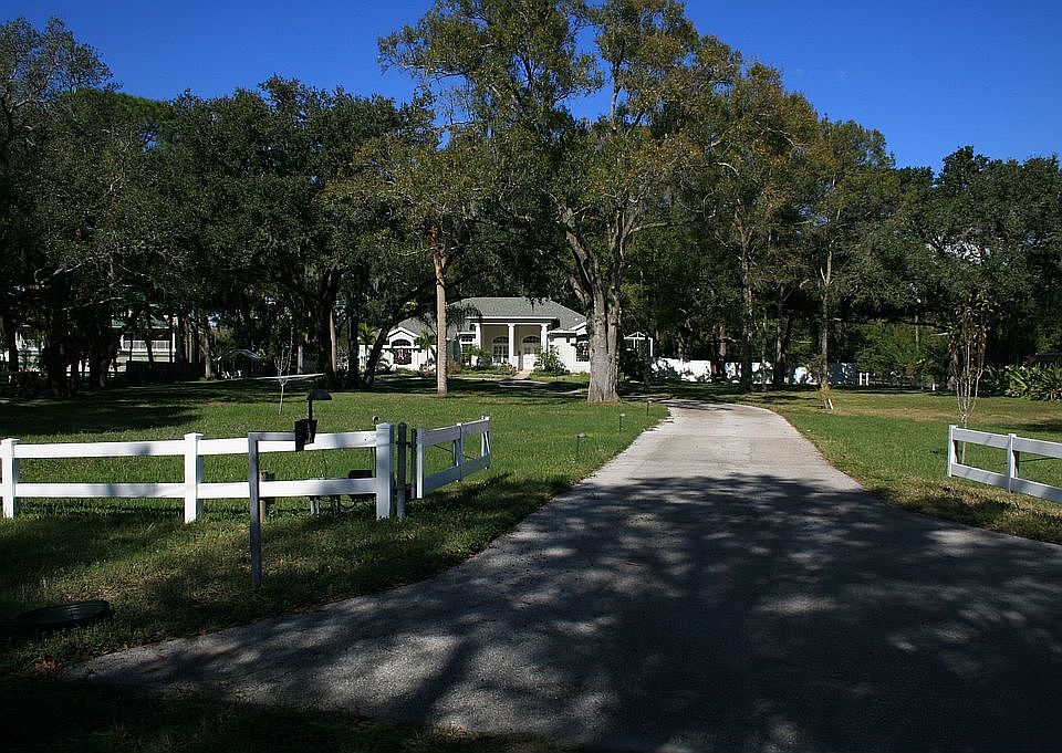 Front yard