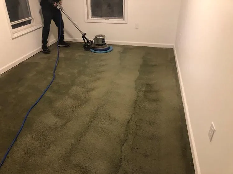 Super FRESH carpeting throughout the entire home