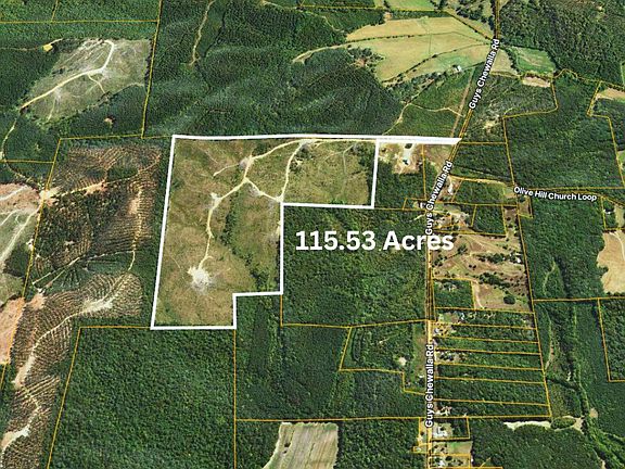 3rd image of Tbd1 Guys Chewalla Rd