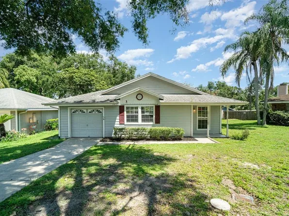 541 Coventry Ct, Mount Dora, FL 32757