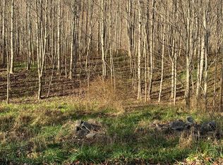 Beartown Rd, Tazewell, VA 24651