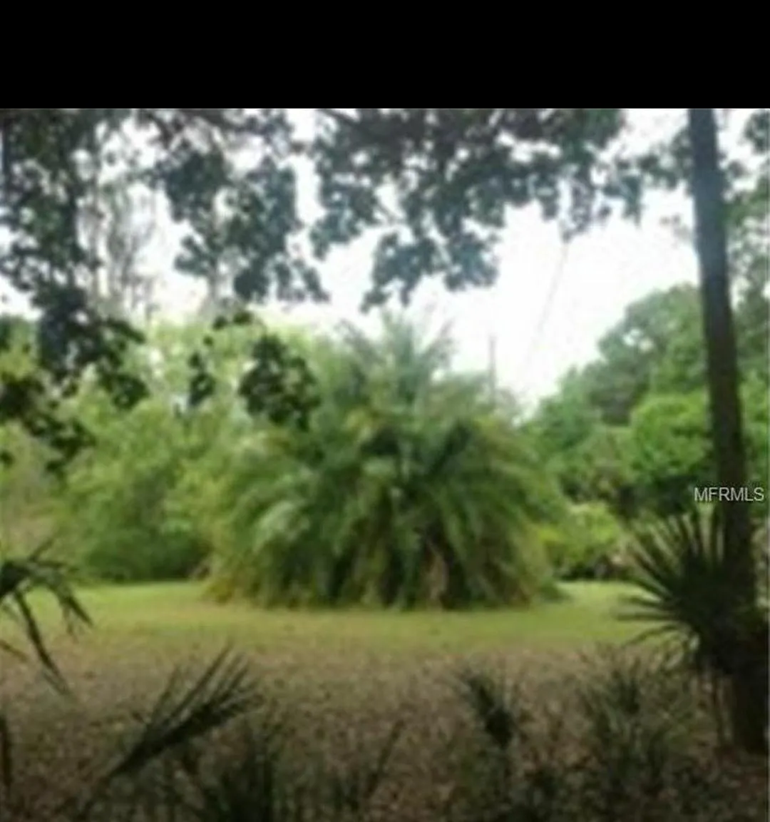 3 bed, 1323 sqft, $2,300 — Photo 4
