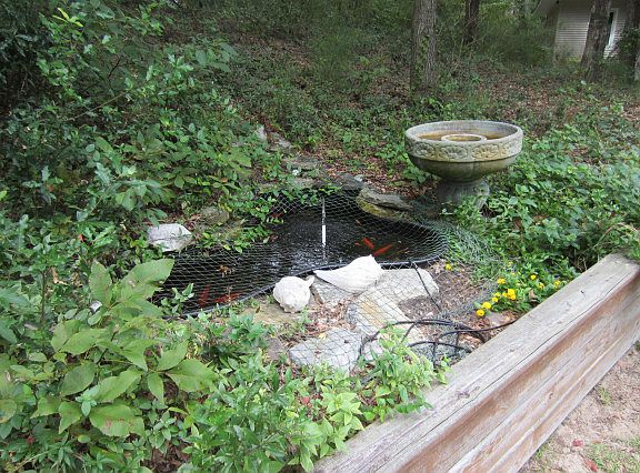3rd image of 234 N Dogwood Trl