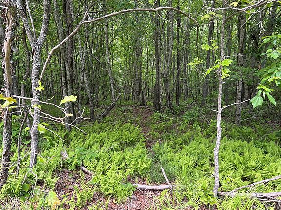 4th image of Saddle Ln