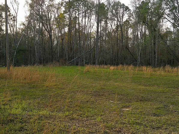 2837 Highway 56, Midville, GA 30441