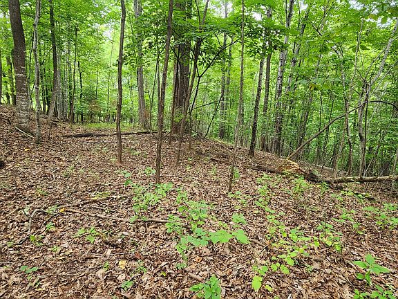 4th image of 1 Truman Hill Rd