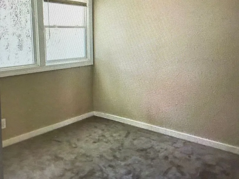 4163 Oakwood Dr — Photo 3