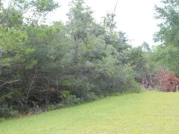 NE 134th St Lot 25, Fort Mc Coy, FL 32134