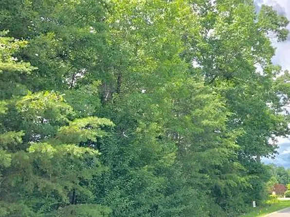 47 Goose Pointe Cir, Crossville, TN 38571