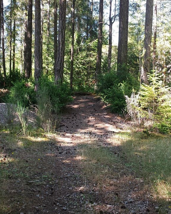 1st image of 2541 E St Andrews Drive