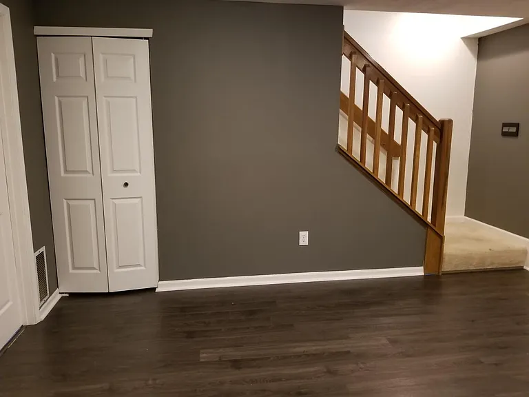 Basement Closet