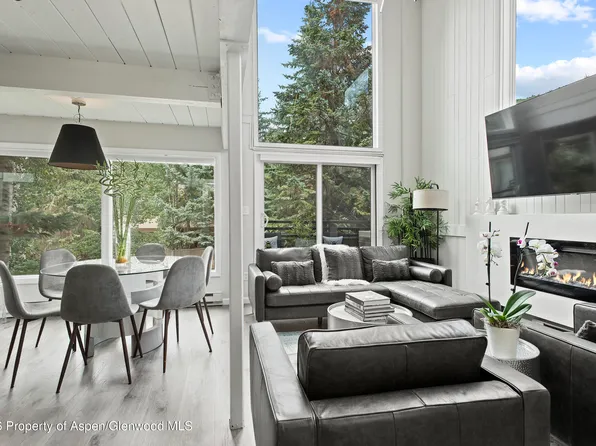 1024 E Cooper Ave APT 2, Aspen, CO 81611