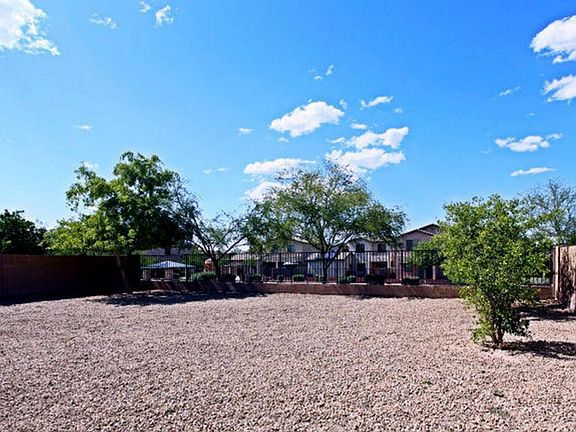 Back yard