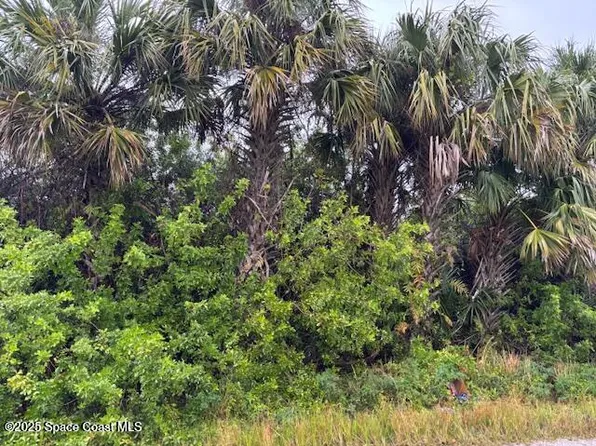 1341 Laredo St SW, Palm Bay, FL 32908