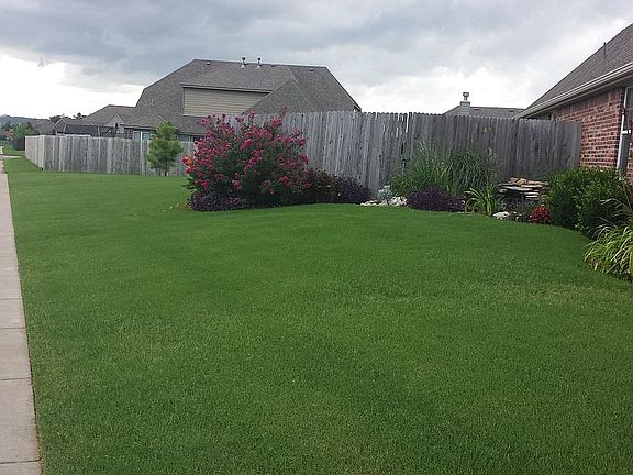 side yard and landscaping