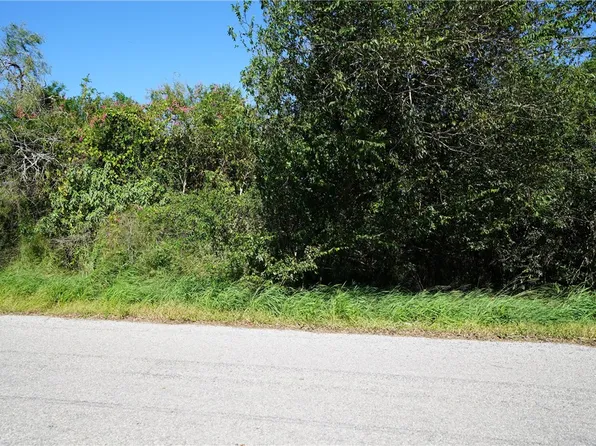 6436 Easley Ln, Sandia, TX 78383