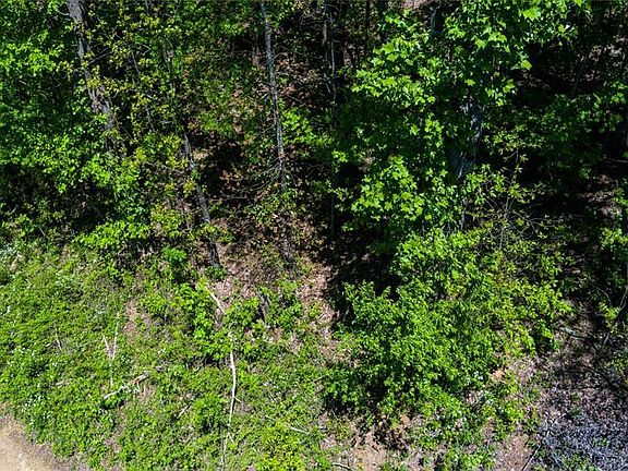 5th image of 0 Fire Tower Rd Lot 7