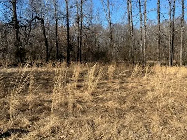 0 Sloan Rd, Springville, TN 38256