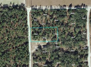 12 Northwest Ct, Bell, FL 32619
