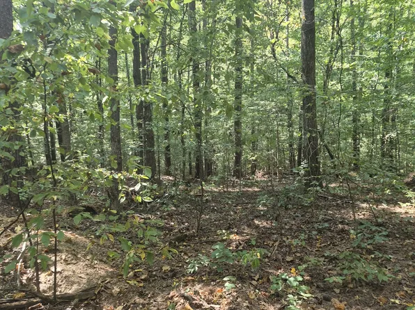 1318 Turkey Creek Rd, Dickson, TN 37055