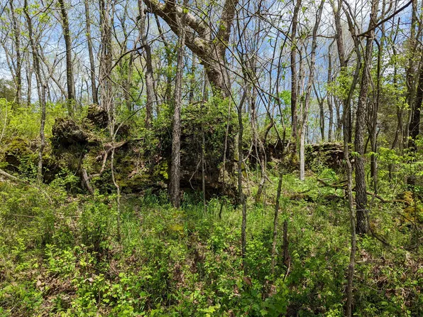 Tract A E 515th Road, Morrisville, MO 65710