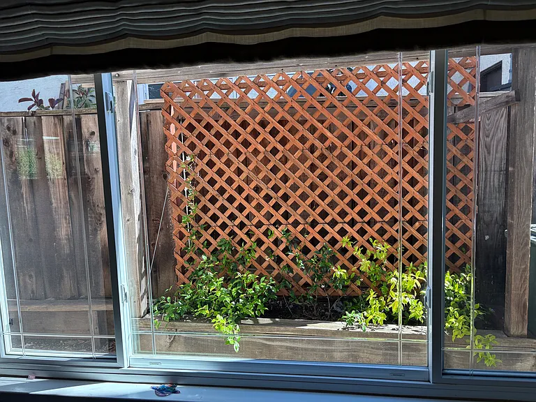 4413 Sugarland Ct — Photo 20