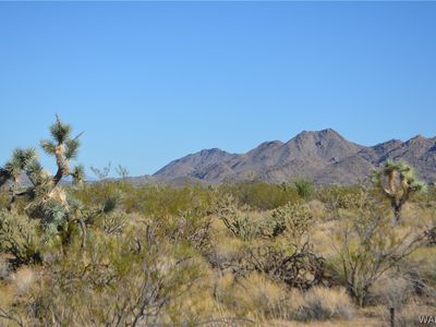 235 Manzanita Dr, Yucca, AZ, 86438