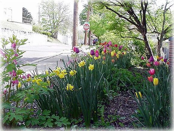 Spring Bulbs front porch