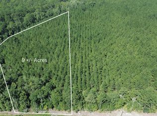 9 Red Oak Rd, Cottageville, SC 29435