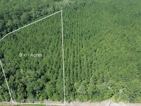 9 Red Oak Rd, Cottageville, SC 29435