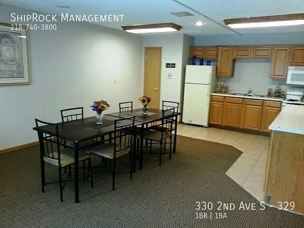 330 2nd Ave S #329 — Photo 14