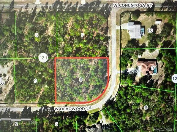 6157 W Deadwood Ln, Beverly Hills, FL 34465