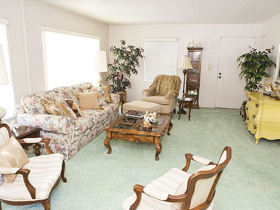 bluecarpet_mg_2887_1