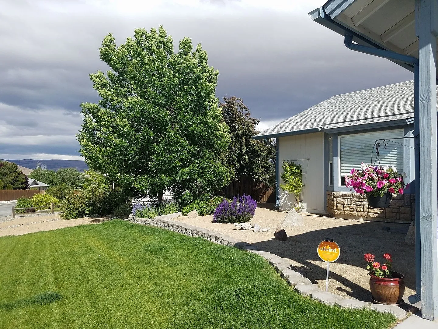1069 Gadwall Way photo 1