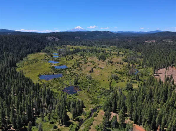 Pondosa Way, McCloud, CA 96057