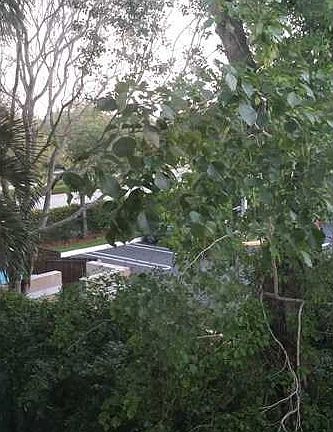 4th image of 2392 Coral Springs Dr #2392