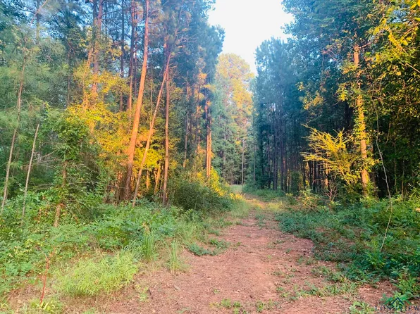 1982 County Road 2116, Douglassville, TX 75560