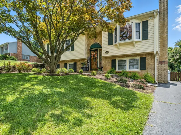 242 Woodlawn Ave, Blue Ridge, VA 24064