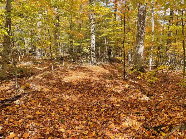 0 North Road, Stratton, VT 05155