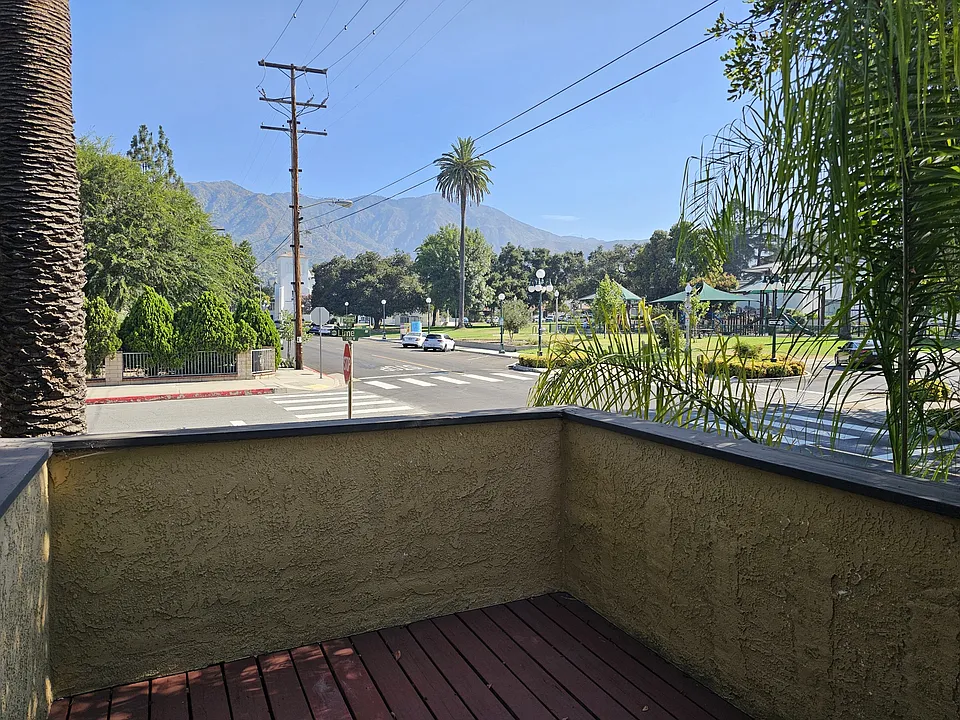Views from the patio