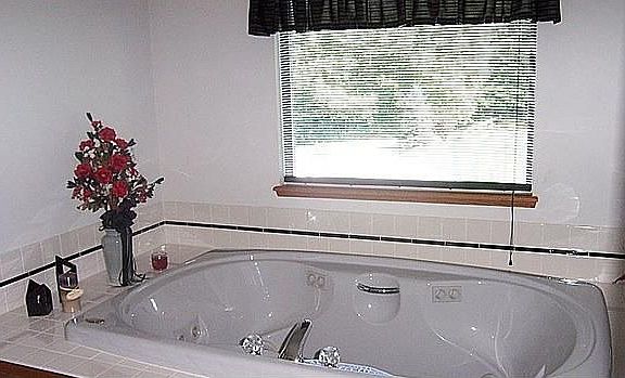 Master bath jacuzzi overlooking backyard