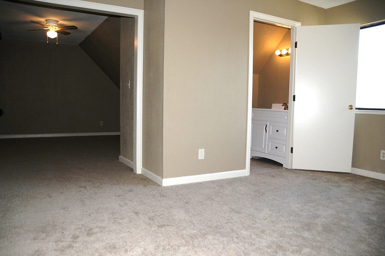 3925 Felton Way photo 1