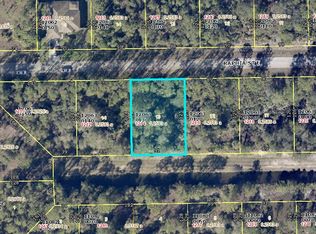 1214 Raphia St E, Lehigh Acres, FL 33974